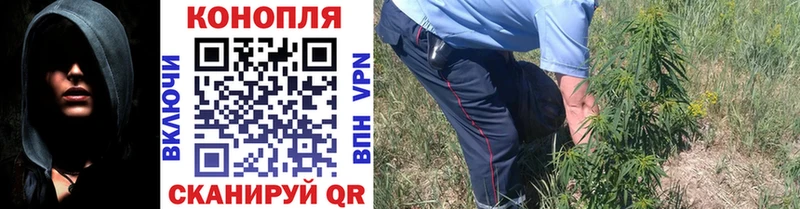 Где найти наркотики Каспийск Канабис  Галлюциногенные грибы  ГАШ  Меф мяу мяу  А ПВП 