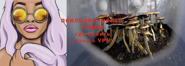 твердый Елизово