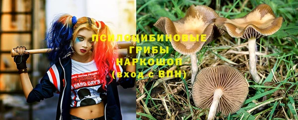 винт Дмитров