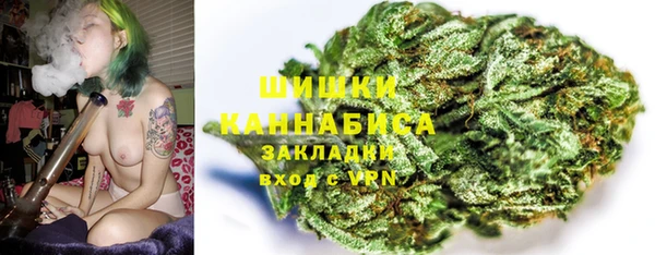 твердый Елизово