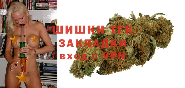 твердый Елизово