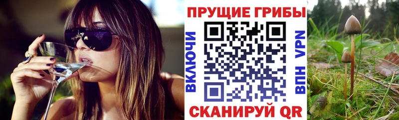 где можно купить   Каспийск  гидра ONION  Псилоцибиновые грибы ЛСД 